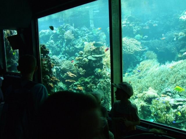 246870_122624141153948_100002190873856_174248_586850_n