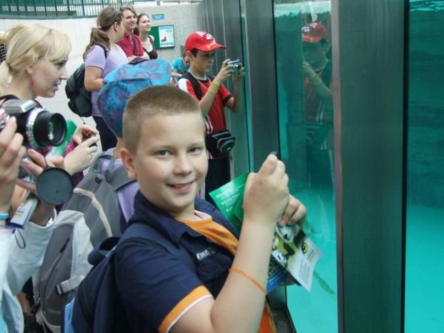 247411_122622594487436_100002190873856_174204_6967972_n