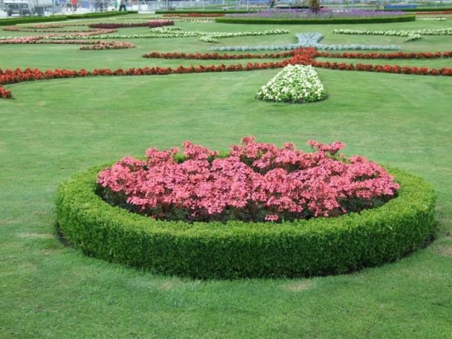 248553_122622234487472_100002190873856_174192_540146_n