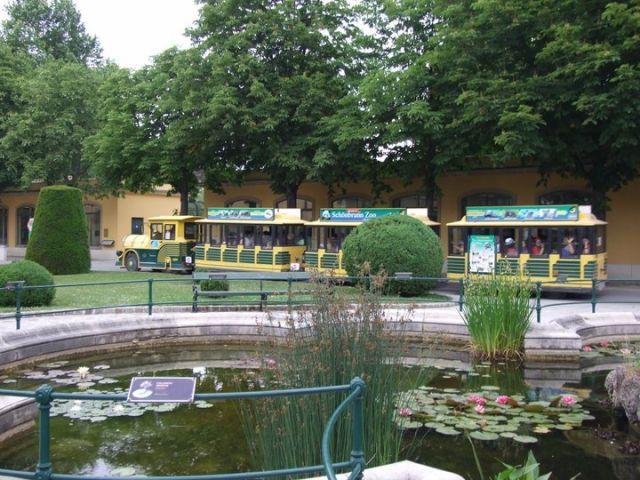 248681_122627691153593_100002190873856_174303_2728332_n