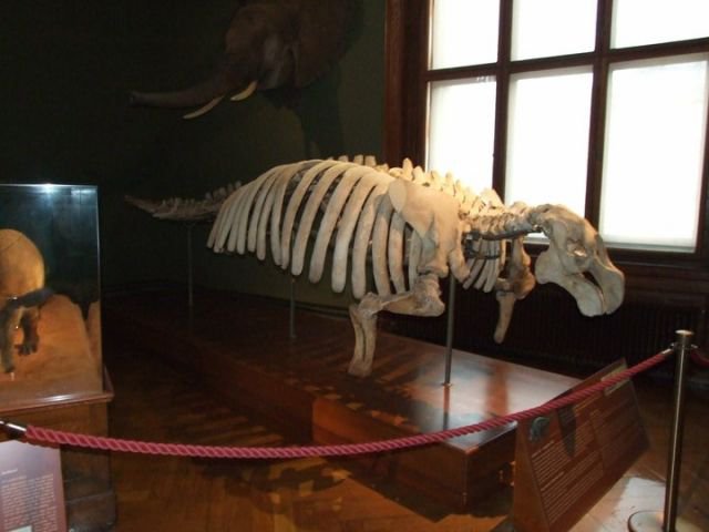 249733_122624864487209_100002190873856_174270_7457102_n