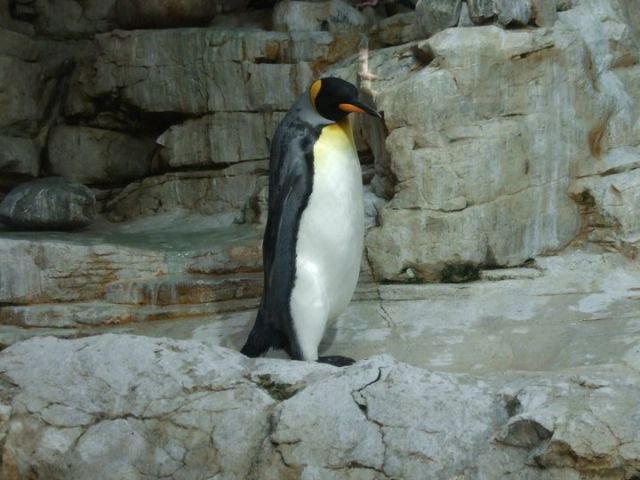 251473_122622571154105_100002190873856_174203_6577017_n