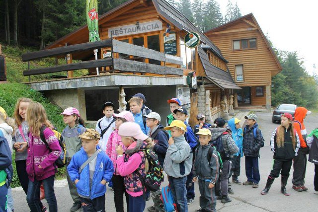 1375261_525180897564935_1547689905_n