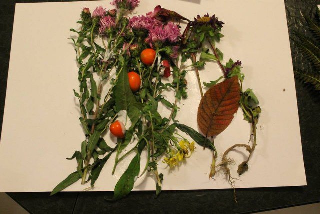 1375770_524384244311267_1386926955_n