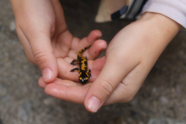 9160_525181487564876_1913640555_n